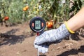 Measuring soil pH, environmental illumination and humidity in a vegetable garden