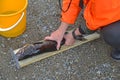 Measuring the trout