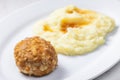 meat ball with cheese served with mashed potatoes Royalty Free Stock Photo