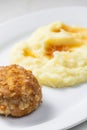 meat ball with cheese served with mashed potatoes Royalty Free Stock Photo