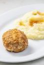 meat ball with cheese served with mashed potatoes Royalty Free Stock Photo