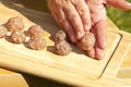 Meat balls Royalty Free Stock Photo