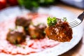 Meat balls. Italian and Mediterranean cuisine. Meat balls with s Royalty Free Stock Photo