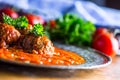 Meat balls. Italian and Mediterranean cuisine. Meat balls with s Royalty Free Stock Photo