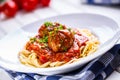 Meat balls. Italian and Mediterranean cuisine. Meat balls with s