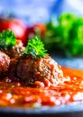 Meat balls. Italian and Mediterranean cuisine. Meat balls with s Royalty Free Stock Photo