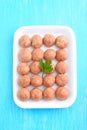 Meat balls from raw minced meat in a white tray Royalty Free Stock Photo