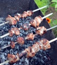 Meat, barbecue, food, grill, kebab, pork, grilled, shashlik, cooking, skewer, fire, roast, bbq, meal, beef, picnic, chicken, dinne