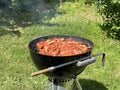 Meat on the barbecue grill on the green lawn