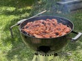 Meat on the barbecue grill on the green lawn