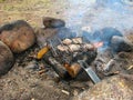 Meat barbecue in the grill is roasted on the fire in a forest in Royalty Free Stock Photo