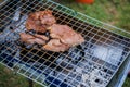 Meat being grilled outdoors