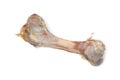 Meat bone Royalty Free Stock Photo