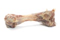 Meat bone Royalty Free Stock Photo