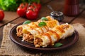 Meat cannelloni sauce bechamel Royalty Free Stock Photo