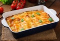 Meat cannelloni sauce bechamel. Royalty Free Stock Photo