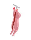 Meat Carcass Icon