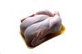 Meat carcass of raw chicken for cooking