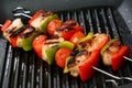 Meat, cherry tomato and red and green pepper skewe Royalty Free Stock Photo