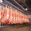 meat in cold storage room. Industrial meat production line.argenttina Royalty Free Stock Photo