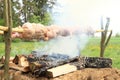 Meat cooking on opened fire Royalty Free Stock Photo