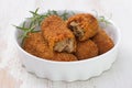 Meat croquettes in dish Royalty Free Stock Photo