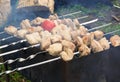 Meat cubes grilled