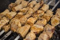 Georgian cuisine. Kebabs. Cooking meat on the coals.