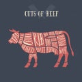 Meat cuts - beef. Diagrams for butcher shop. Scheme of beef. Animal silhouette beef. Guide for cutting