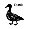 Meat cuts - duck. Diagrams for butcher shop. Scheme of duck. Animal silhouette duck. Guide for cutting. Vector Royalty Free Stock Photo