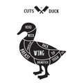 Meat cuts - duck. Diagrams for butcher shop. Scheme of duck. Animal silhouette duck. Guide for cutting Royalty Free Stock Photo