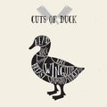 Meat cuts - duck. Diagrams for butcher shop. Scheme of duck. Animal silhouette duck. Guide for cutting Royalty Free Stock Photo