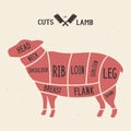 Meat cuts - lamb. Diagrams for butcher shop. Scheme of lamb. Animal silhouette lamb. Guide for cutting