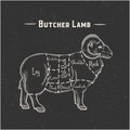 Meat cuts. Cuts of Mutton. Sheep silhouette isolated on white background. Vintage Poster for butcher shop. Retro diagram. Vector Royalty Free Stock Photo