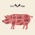 Meat cuts - pork. Diagrams for butcher shop. Scheme of pork. Animal silhouette pork. Guide for cutting