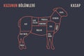 Meat cuts. Poster Butcher diagram and scheme - Lamb