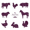 Meat cuts poster with named animals body parts Royalty Free Stock Photo