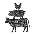 Meat cuts set. Diagrams for butcher shop. Scheme of chicken, beef, pork etc. Animal silhouettes. Guide for cutting Royalty Free Stock Photo