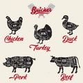 Meat cuts set. Diagrams for butcher shop. Scheme of chicken, beef, pork etc. Animal silhouettes. Guide for cutting Royalty Free Stock Photo