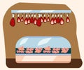 Meat department, pork shelf with fresh beef and steak food in supermarket fridge, big choice of organic farm products