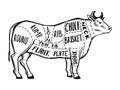 Meat diagram cow engraving vector