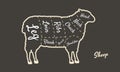 Meat diagram. Cuts of sheep. Sheep silhouette isolated on brown background. Vintage poster for butcher shop, restaurant menu. Vect Royalty Free Stock Photo