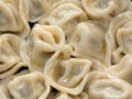 Meat dumpling Royalty Free Stock Photo