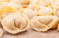 Meat dumplings Royalty Free Stock Photo