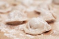 Meat dumplings Royalty Free Stock Photo