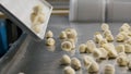 Meat dumplings are being dropped to a tray which is located in a container and is later being removed. Ready-made Royalty Free Stock Photo