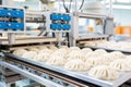 Meat Dumplings on the conveyor belt in a food factory