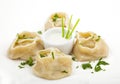 Meat dumplings on a plate Royalty Free Stock Photo