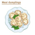 Meat dumplings. ravioli. main courses