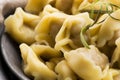 Meat Dumplings - russian boiled pelmeni Royalty Free Stock Photo